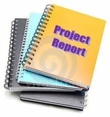 Project report 250x250